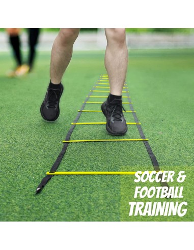 Escalera para entrenamientos de 12 escalones