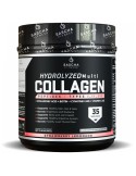 HYDROLYZED COLLAGEN SASCHA FITNESS COLAGENO