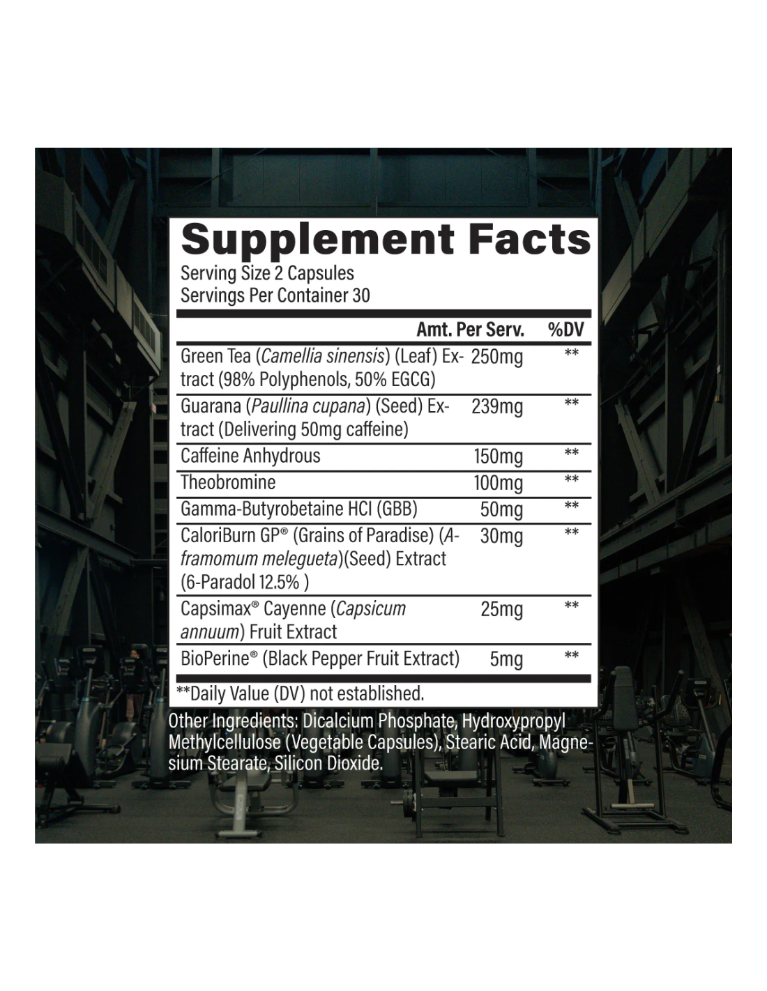 Essential Fat Burner 60 caps - Raw