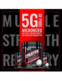 Nutrex Creatina Monohidratada 1000 gramos