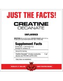 Creatine Decanate 300 g – Creatina avanzada MuscleMeds