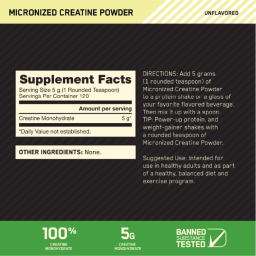 Optimum Nutrition Creatina Micronizada 300gr