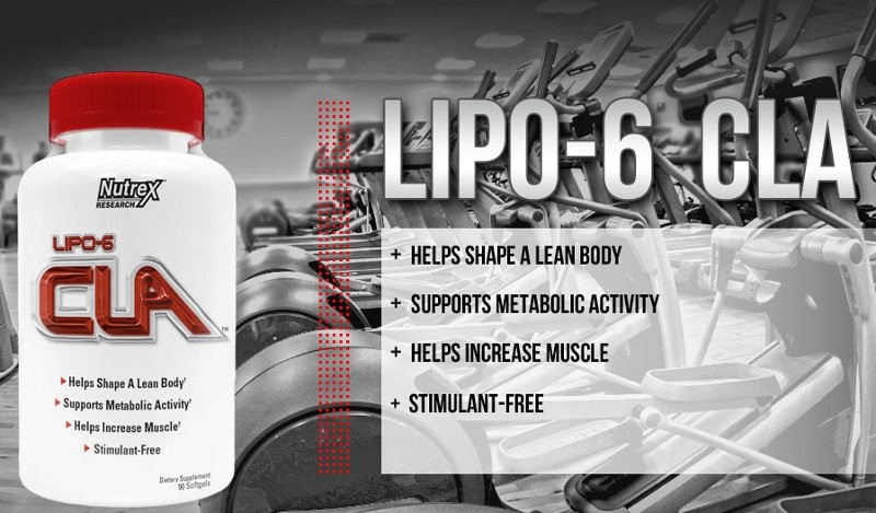 Lipo-6 CLA Benefits